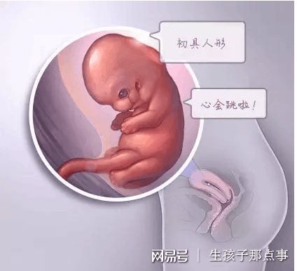 找卵代生男孩机构